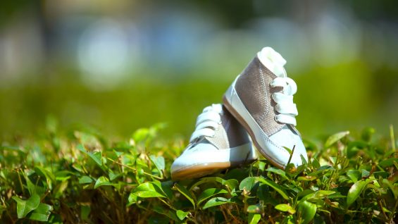 Closeup of baby sneakers on the lawn under sunlight with a blurry background